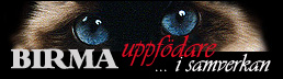 Birma uppf�dare for Samv�rkan