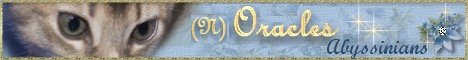 (N) Oracles - Abyssinians