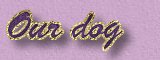 Our dog - V�r hund