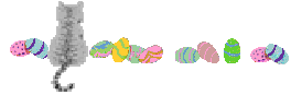 Cat & Eggs