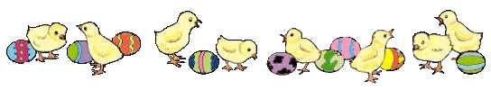 Chicken & Eggs