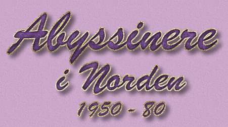 Abyssinerens historie i Norge