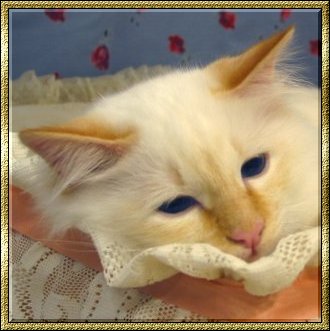 (N) Mar-Ljung�s Loke