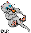 Kitten with milkbottle
