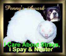 Penny's Award