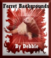 Ferret Backgrounds by Debbie