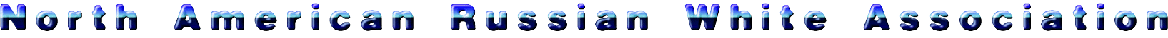 NARWA Logo