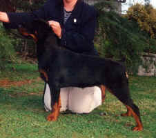 Deja7.jpg (48458 bytes)