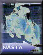 N�sta