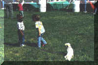 Buddies...kids with puppy(32278 bytes)