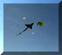 Shark kite in Forest Park St Louis(7239 bytes)