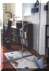 Verbi the odd looking black toy poodle in the mirror (23283 bytes)
