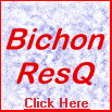 Click here for Bichon ResQ Page