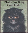 BLACK CAT