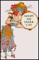 Adopt an Older Cat