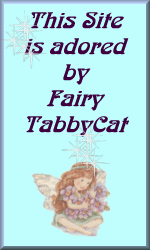 Fairy Tabby Cat's Award