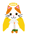 A Cat Angel