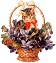 kitten in basketalign=
