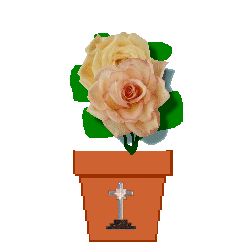 The Site Fights Spirit Flowers