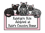 Adoption Certificate