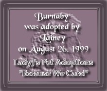 Adoption Certificate
