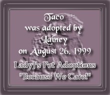 Adoption Certificate