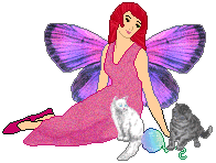 Pixie Cat