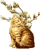 Pussywillow