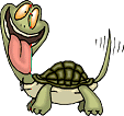 Tuddles the Turtle