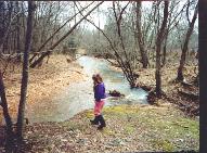  our creek in winter
