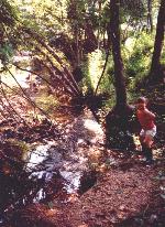 our creek in summer