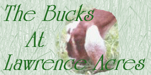 Lawrence Acres