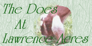 Lawrence Acres