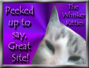 The Whisker Kitties