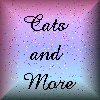 Cats and More