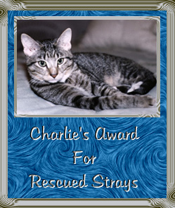 Charlie's Award For Rescued Strays