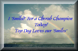 I smiled For a Cherub Champion Today
