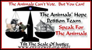 The Animals Hope Petition Team