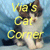 Via's Cat Corner