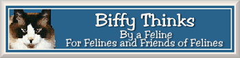 Biffy Thinks