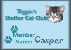 Tigger's Shelter Cat Club