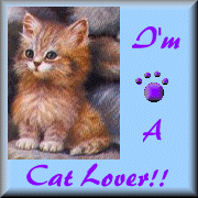 I'm A Cat Lover