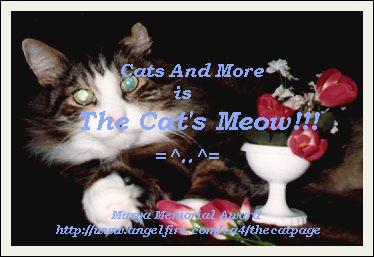 Cats and More is The Cats Meow