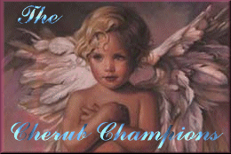 The Cherub Champions