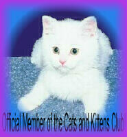 Cats and Kittens Club