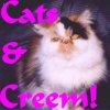 Cats & Creem