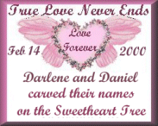 True Love Never Ends