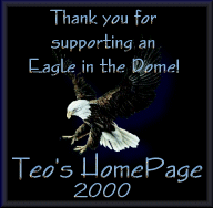 Thank you for supporting an Eagle in the Dome Teo's HomePage