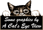 A Cats Eye View