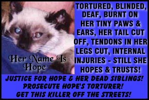Hope's Story